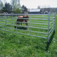 Предубойный загон 