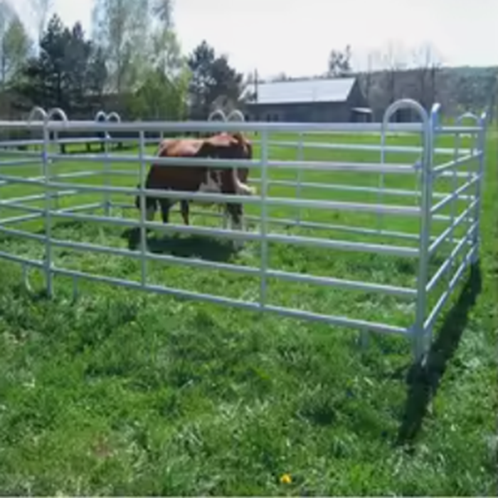 Предубойный загон  - фото 1